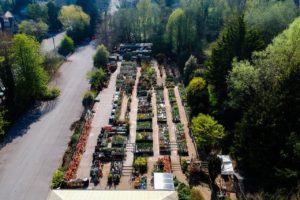 Prior Park Garden Centre, from the sky.