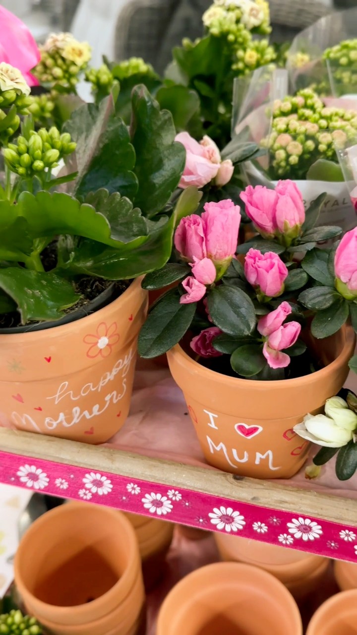 Prior Park Garden and Pet Centre, Farm Shop & Terrace Café