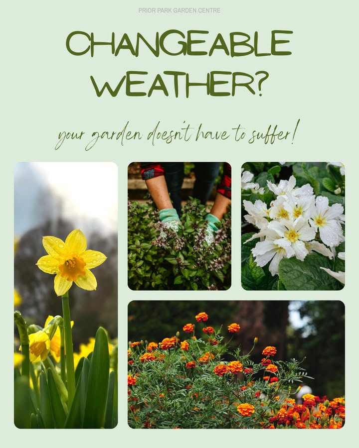 Prior Park Garden and Pet Centre, Farm Shop & Terrace Café