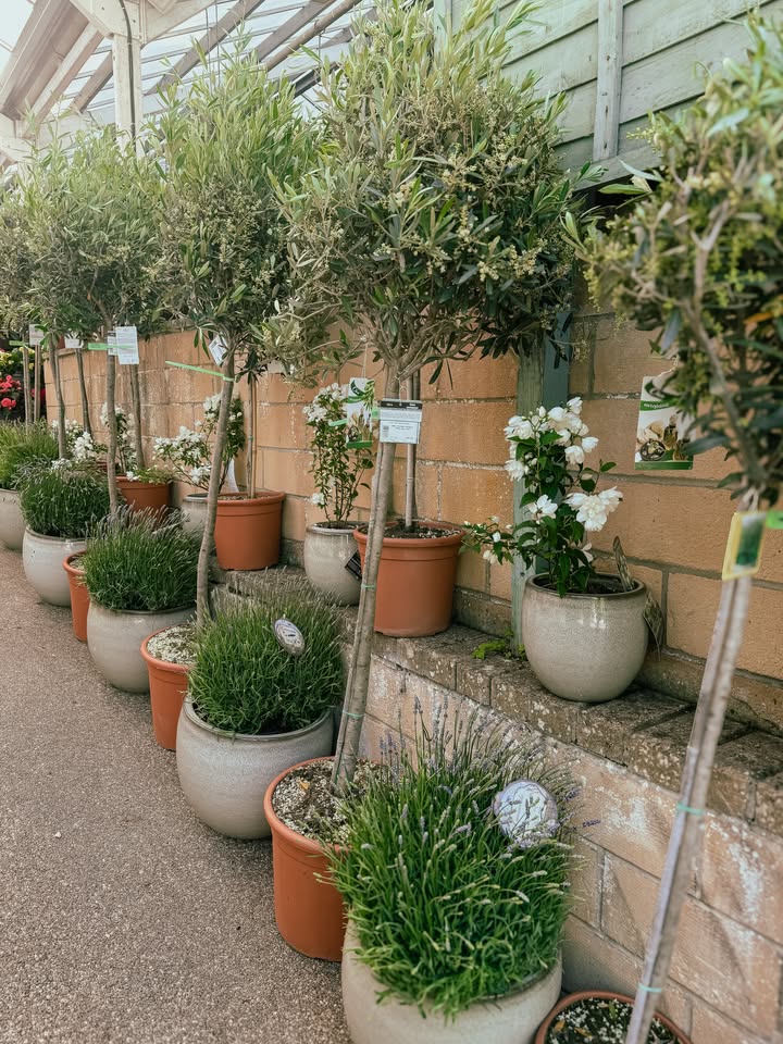 Prior Park Garden and Pet Centre, Farm Shop & Terrace Café